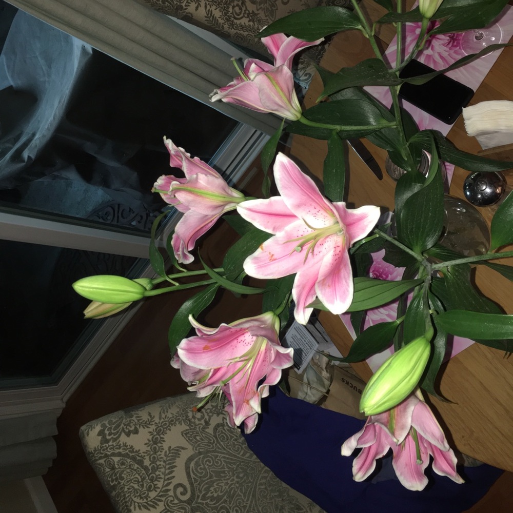 Meet your Posher, Charmian